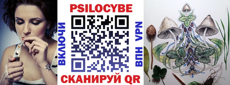 Псилоцибиновые грибы Psilocybe  Сыктывкар 